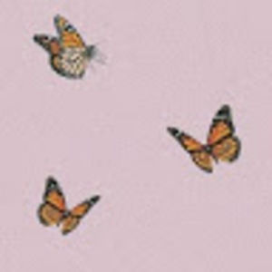 Meet your Posher, Rachelle